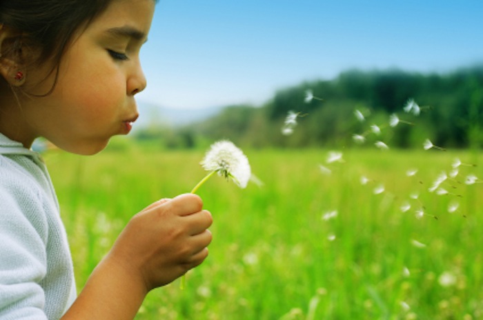 Child blowing bloom summer-social-skills-camp