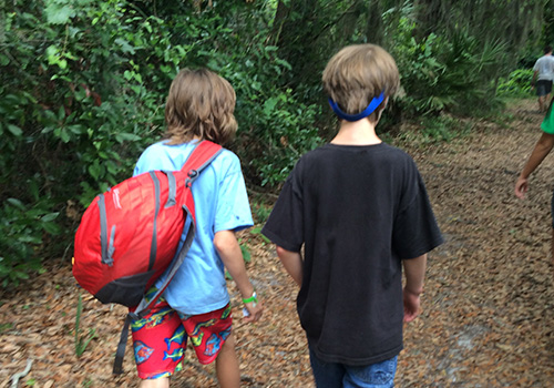friendship Social skills groups